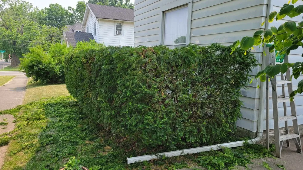 Reliable residential landscaping for beautiful yards in Hartford City, IN by D&D Home and Lawn