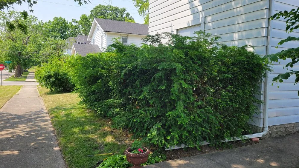 Reliable landscaping services experts serving Hartford City, IN - D&D Home and Lawn