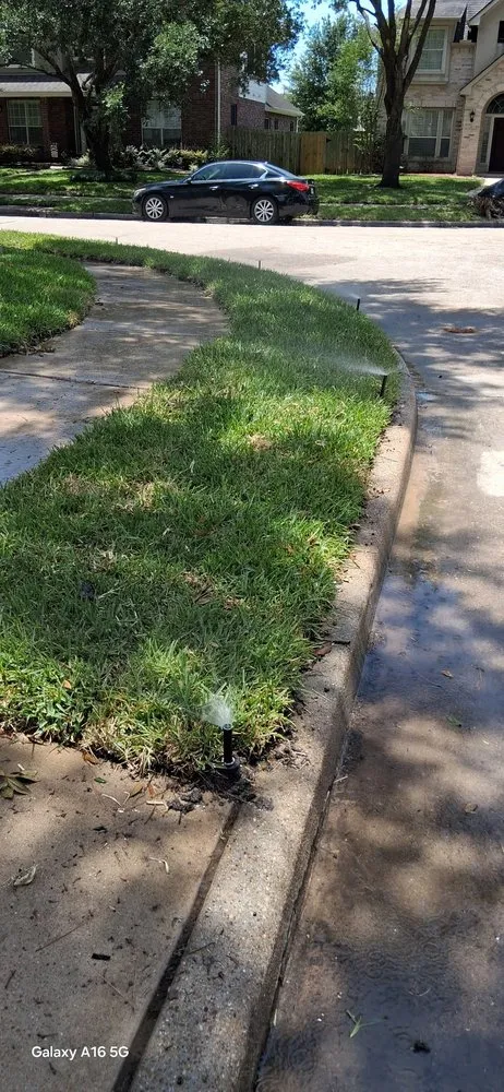 Affordable yard cleanup service with custom design across Cypress, TX - DD Irrigation & Landscaping Service