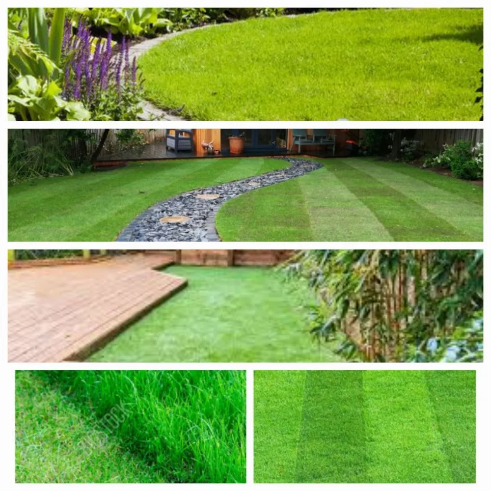 Local landscape installation experts serving Helper, UT - D&D Junior Yards