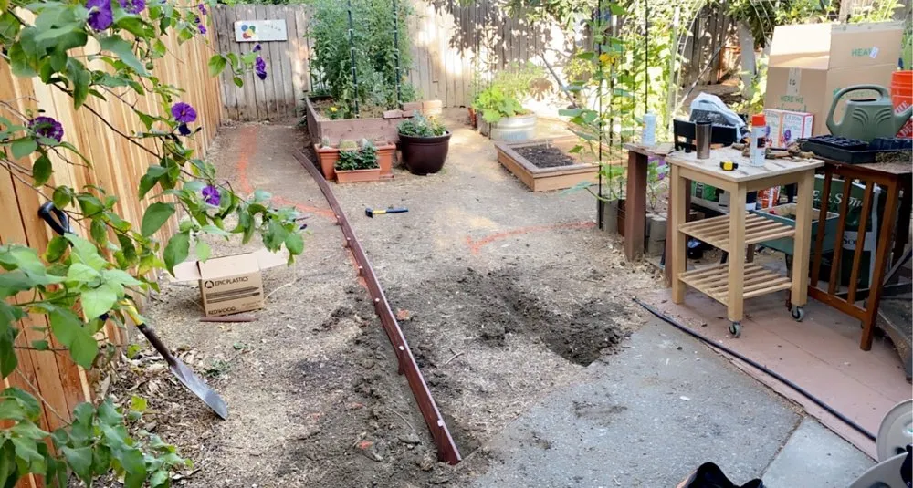 Professional lawn care service experts serving Davis, CA - D&D Landscape n Maintenance