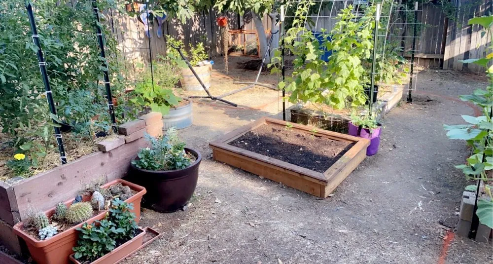 Expert outdoor landscaping for residential properties in Davis, CA by D&D Landscape n Maintenance