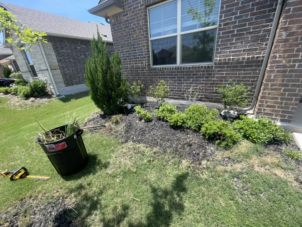 Local lawn care service for beautiful yards across Austin, TX - D&D Landscape Services