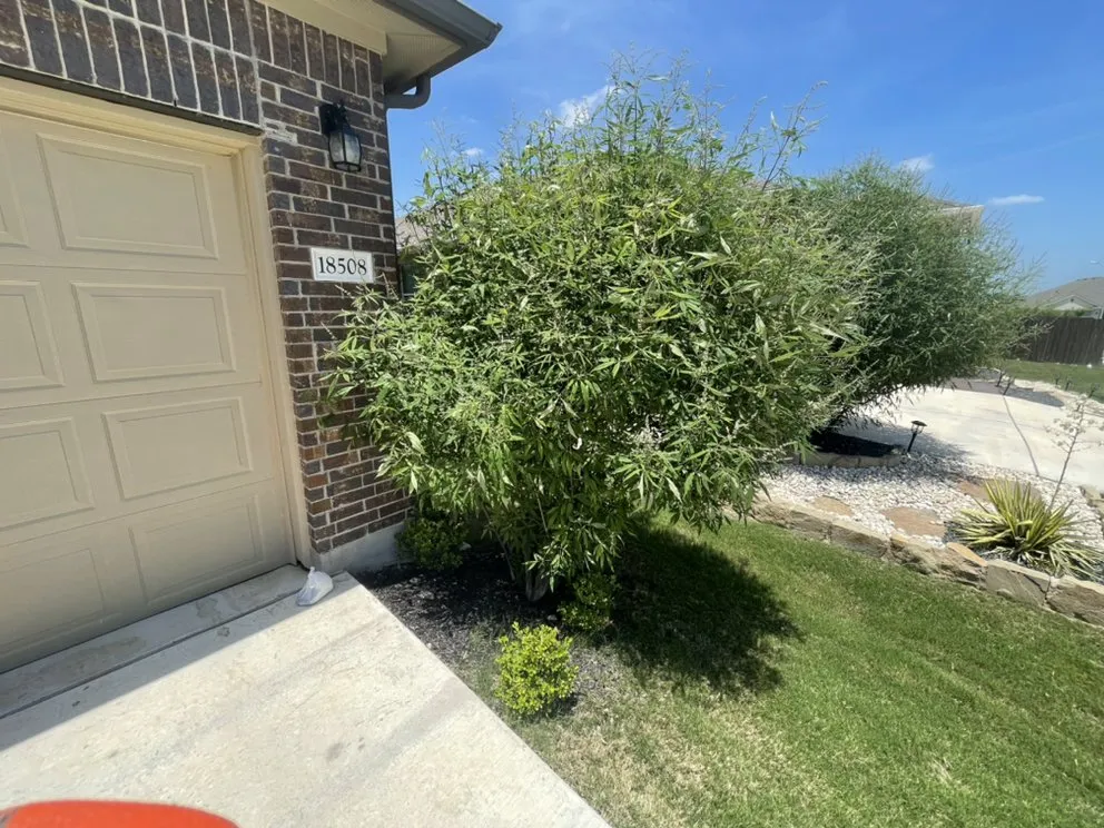 Top-rated garden landscaping near you across Austin, TX - D&D Landscape Services