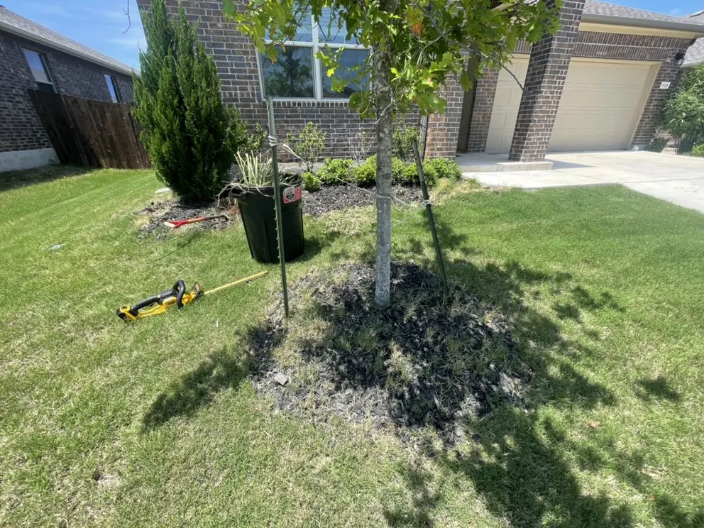 Top-rated landscape design in Austin, TX - D&D Landscape Services