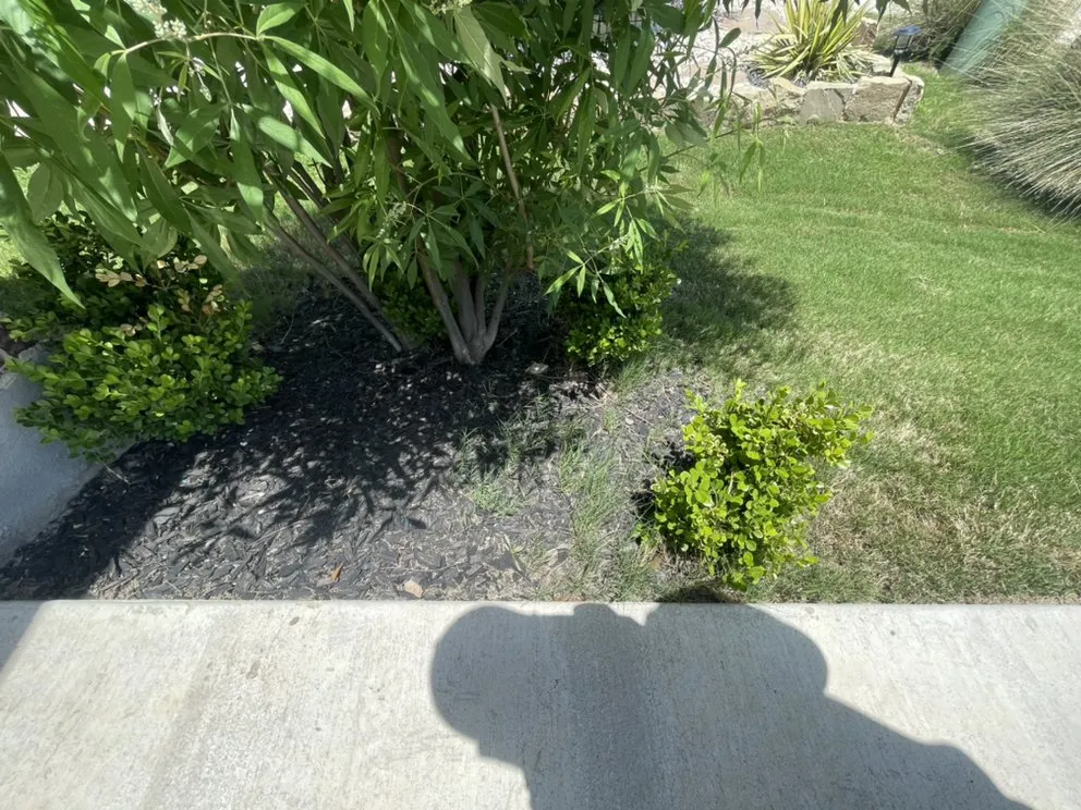 Custom landscape installation in Austin, TX by D&D Landscape Services