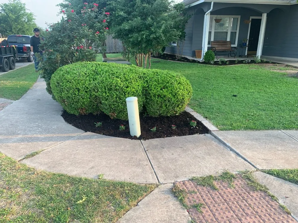 Local lawn care service in Austin, TX by D&D Landscape Services
