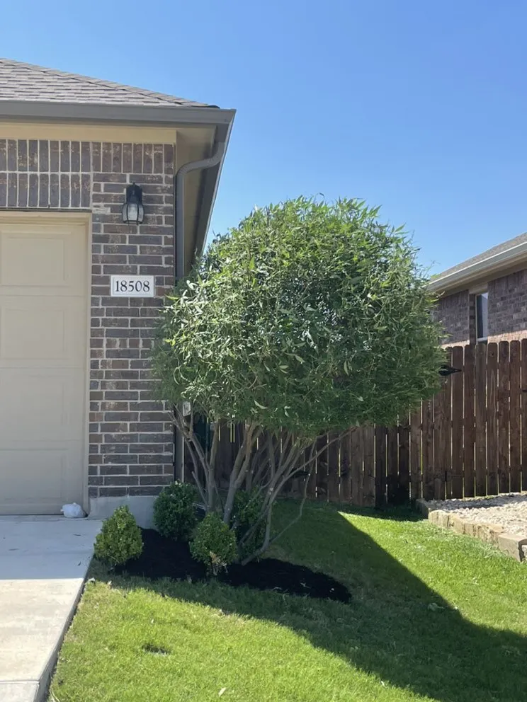 Expert lawn mowing service in Austin, TX - D&D Landscape Services