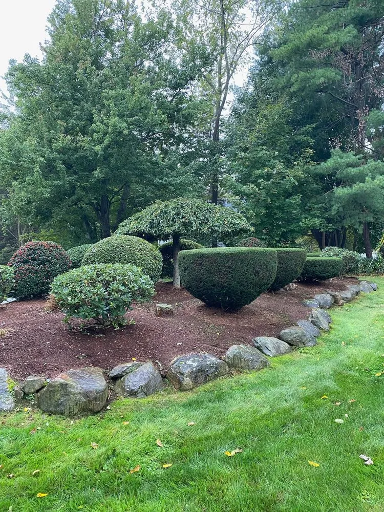 Local landscaping services experts serving North Providence, RI - D&D Landscape Services