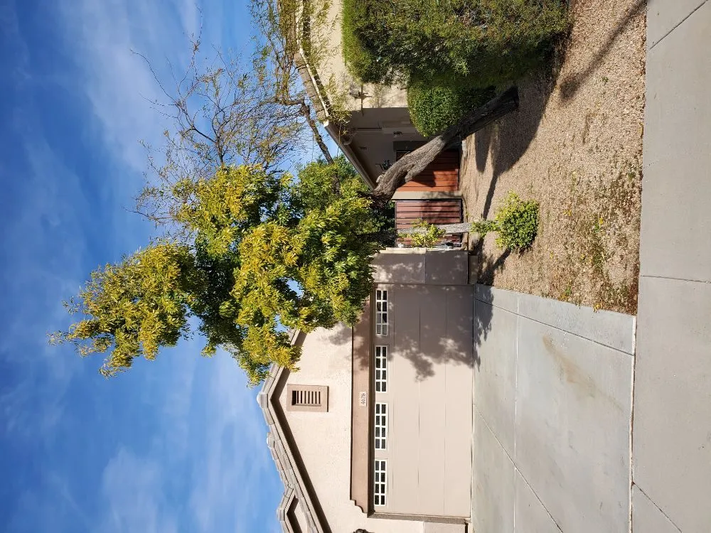 Local landscaping services for outdoor upgrades in Anthem, AZ by DD Landscaping- Anthem