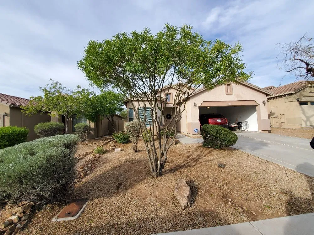 Custom lawn care service for year-round maintenance in Anthem, AZ by DD Landscaping- Anthem