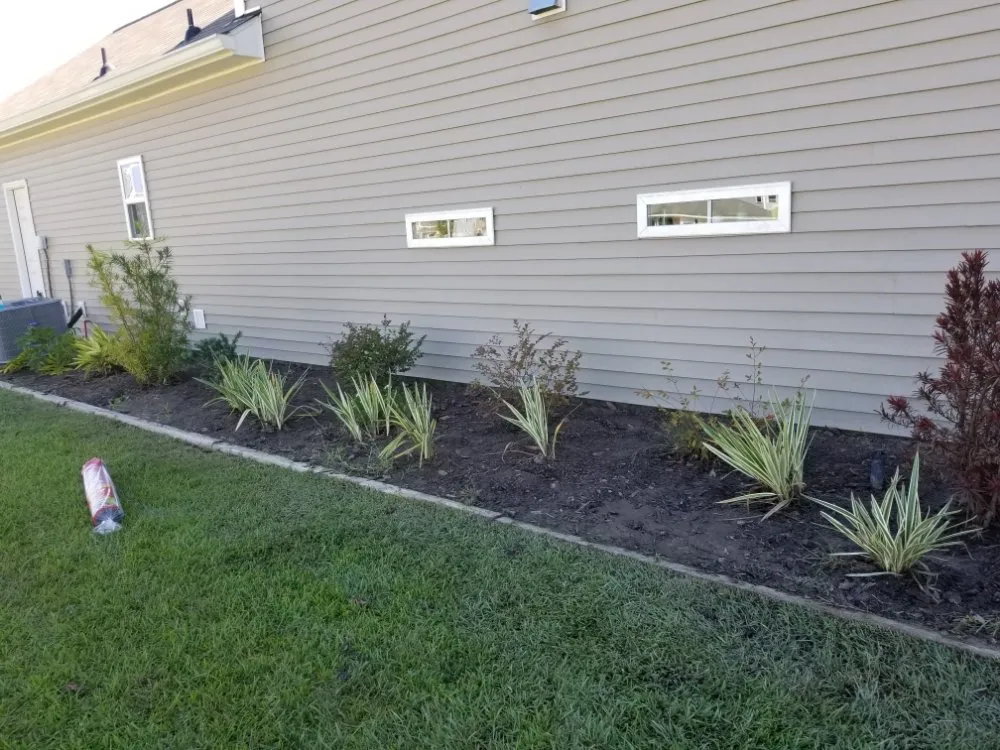 Affordable lawn care service in Springfield, GA - D&D Landscaping & Powerwashing