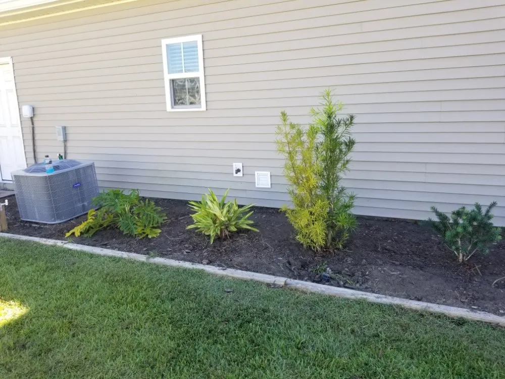 Affordable landscape design experts serving Springfield, GA - D&D Landscaping & Powerwashing