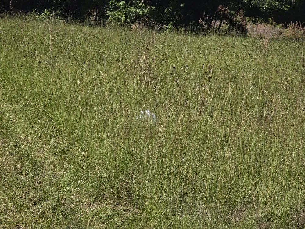 Trusted residential landscaping for residential properties across Springfield, GA - D&D Landscaping & Powerwashing