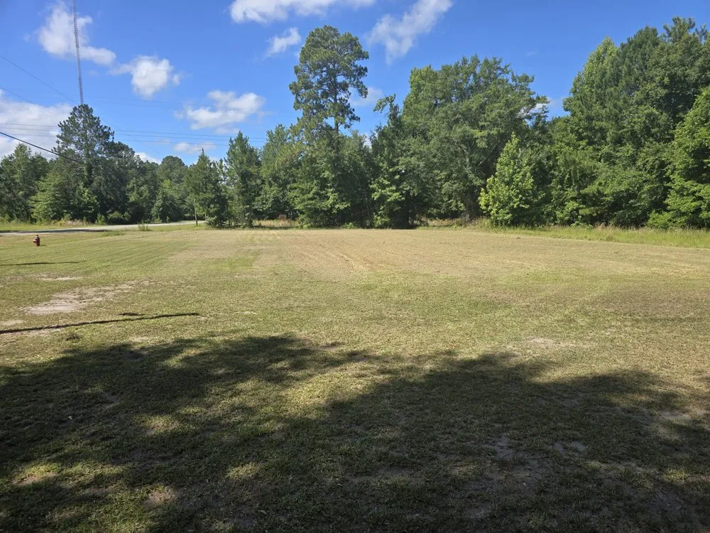 Top-rated garden landscaping in Springfield, GA by D&D Landscaping & Powerwashing