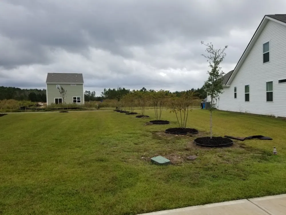 Custom landscape installation in Springfield, GA - D&D Landscaping & Powerwashing