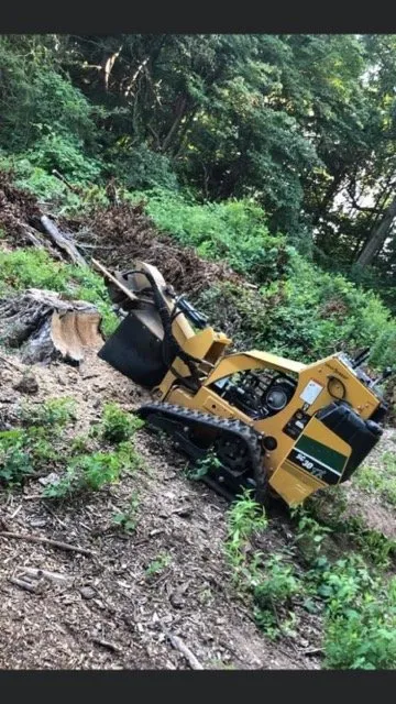 Reliable lawn mowing service near you across North Haven, CT - D.D Landscaping and Construction