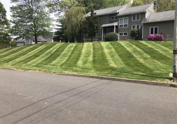 Affordable landscape design in North Haven, CT - D.D Landscaping and Construction