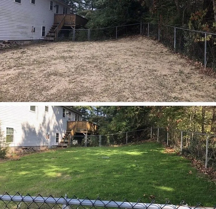 Expert lawn care service experts serving North Haven, CT - D.D Landscaping and Construction