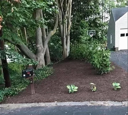 D.D Landscaping and Construction Logo