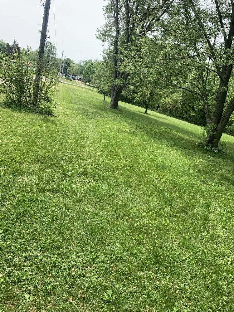 Reliable landscape installation in Peoria, IL by D&D Landscaping and More