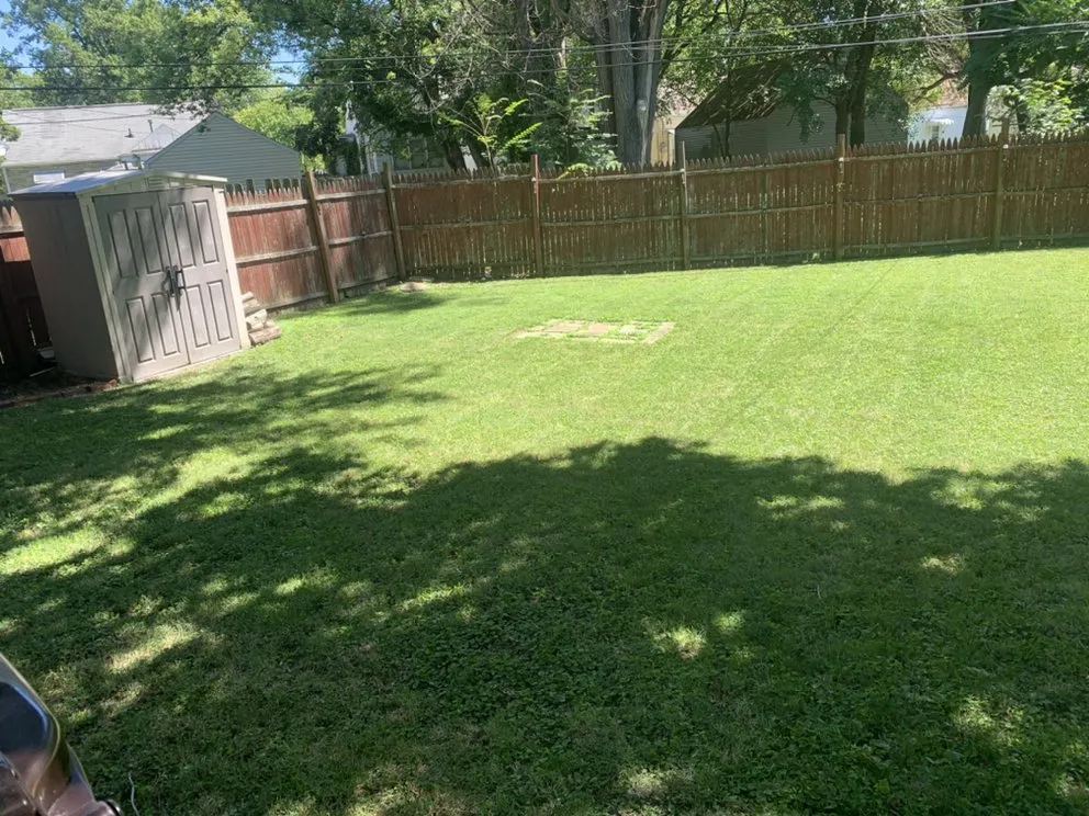 Local yard cleanup service in Peoria, IL - D&D Landscaping and More