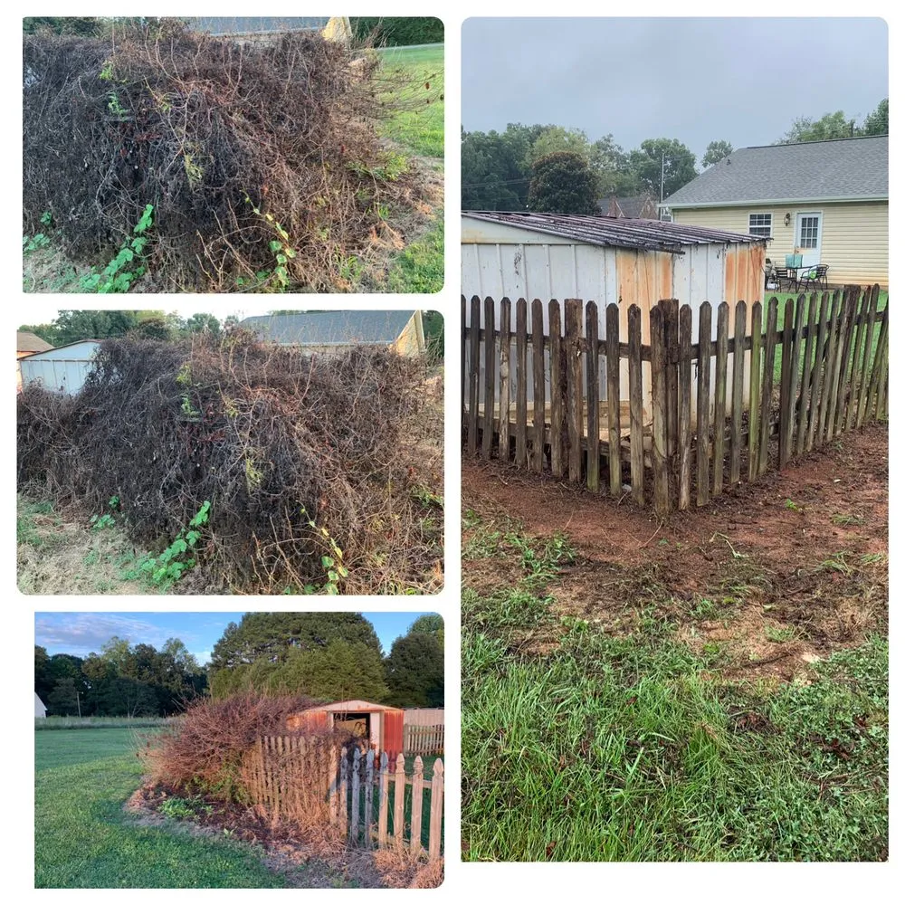 Reliable yard cleanup service experts serving Cherryville, NC - D&D Landscaping