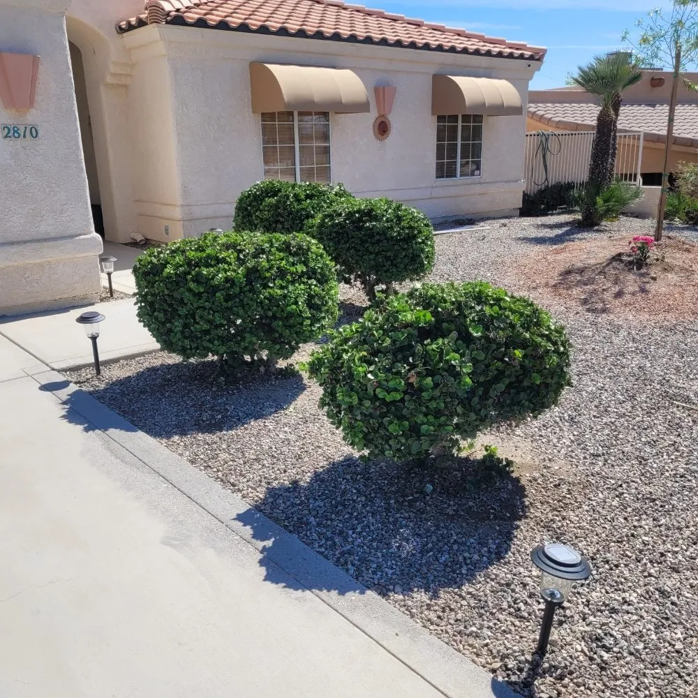 Top-rated residential landscaping near you across Lake Havasu City, AZ - D&D Landscaping