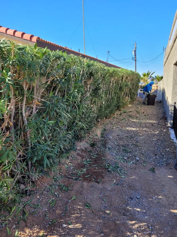 Expert residential landscaping for residential properties across Lake Havasu City, AZ - D&D Landscaping