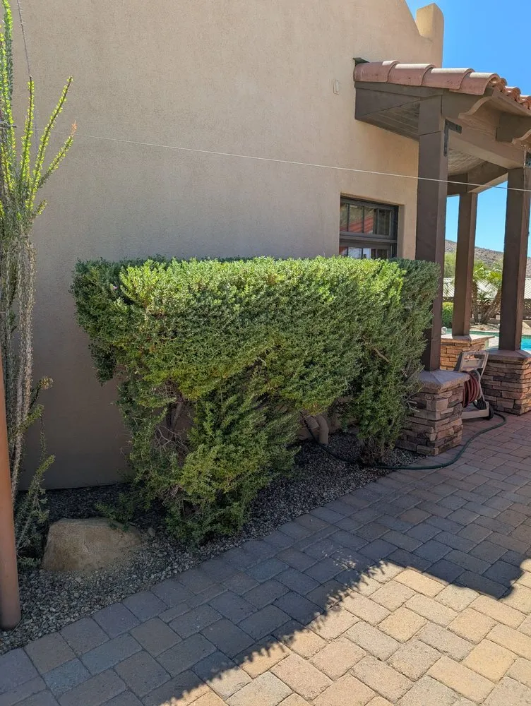 Local lawn care service experts serving Lake Havasu City, AZ - D&D Landscaping