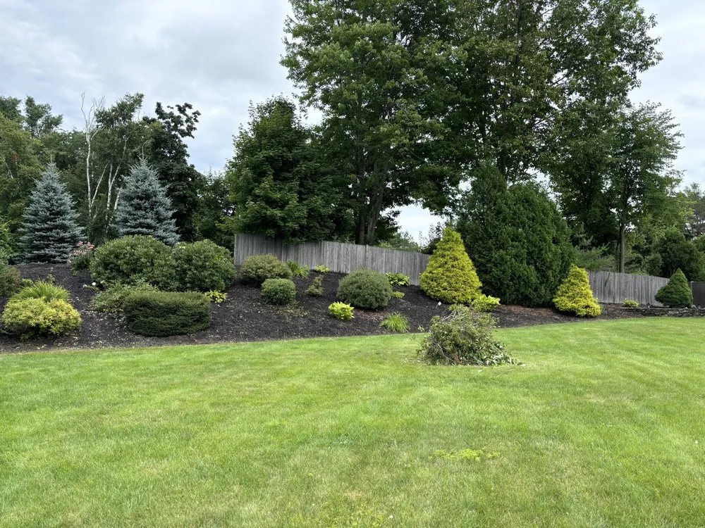Affordable yard cleanup service for outdoor upgrades across Lewiston, ME - D&D landscaping
