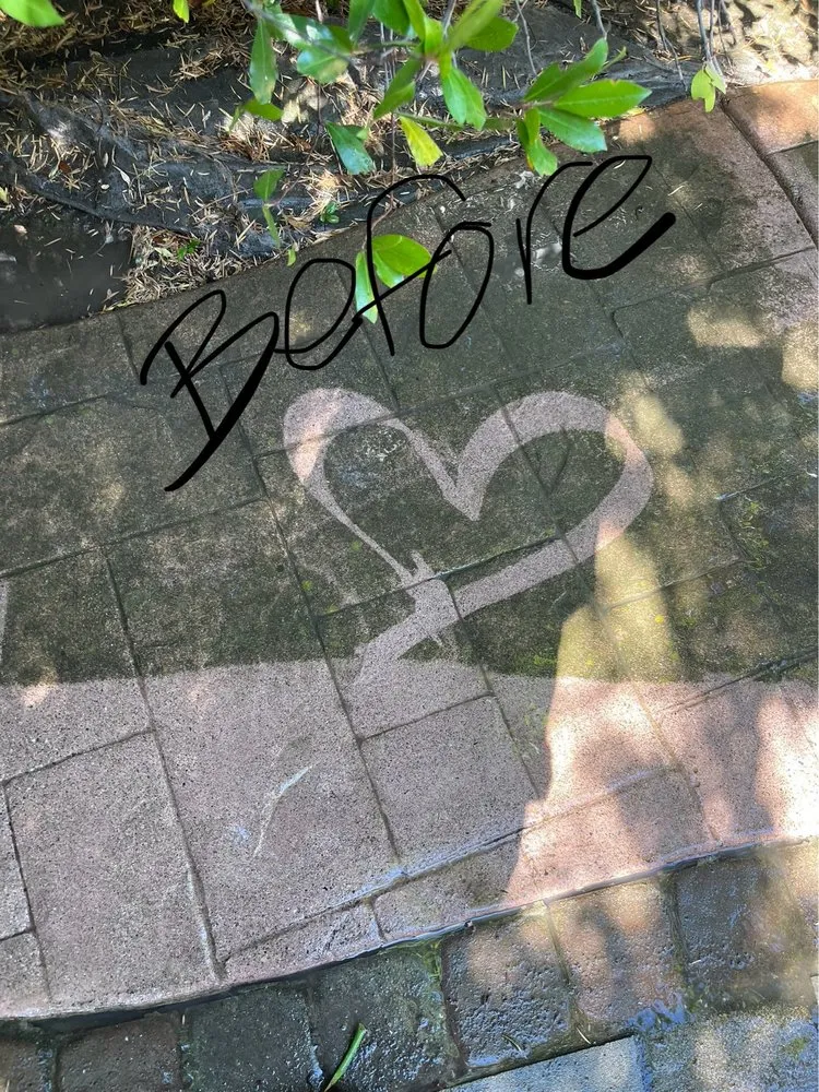 Custom yard maintenance near you in Sacramento, CA by DD Landscaping