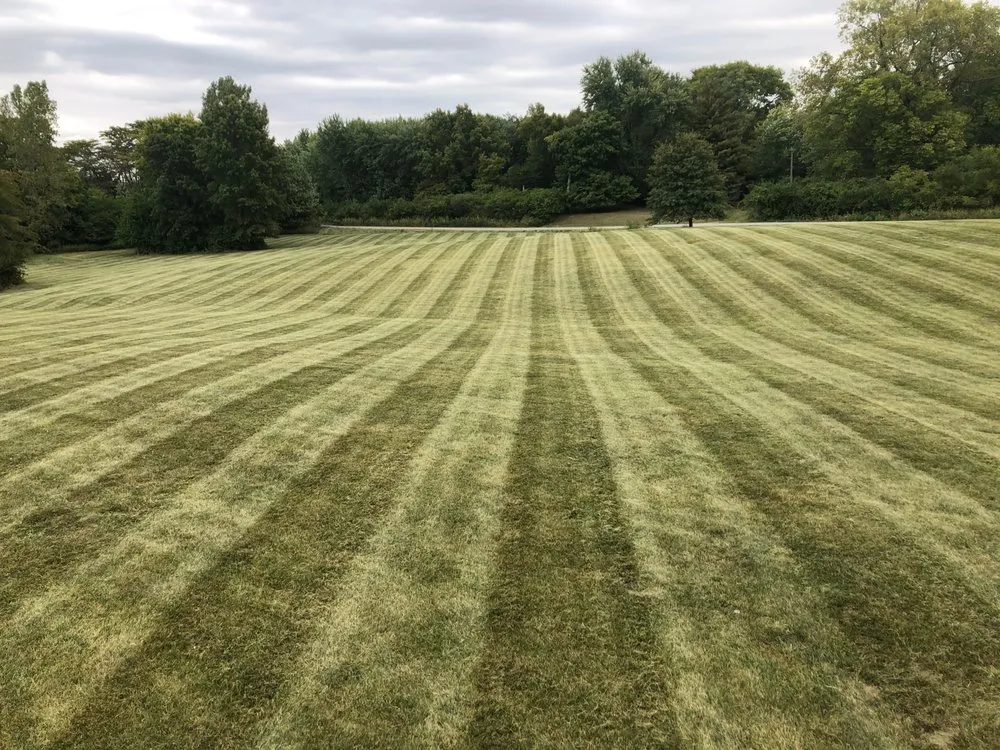 Local landscaping services near you across Springfield, IL - D&D landscaping