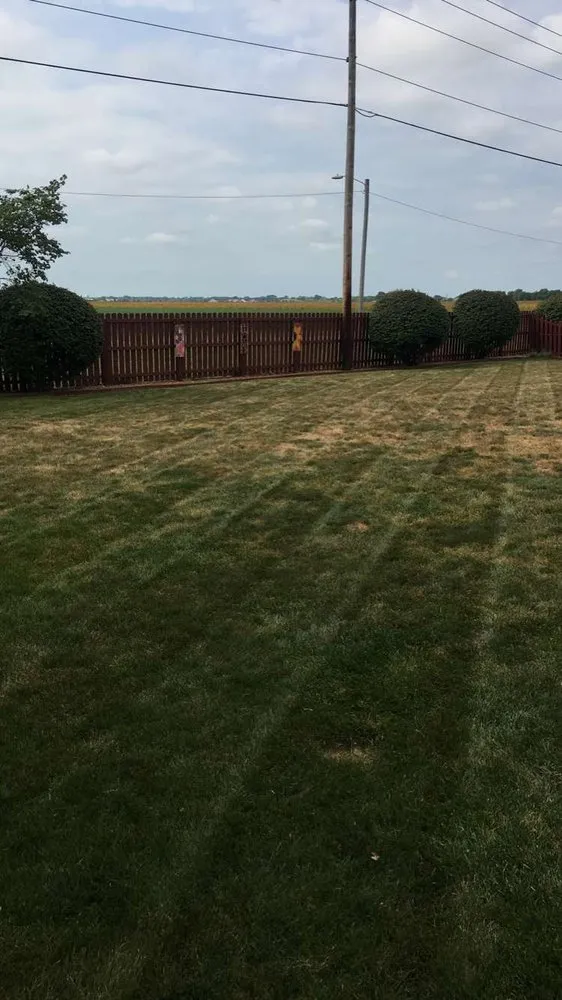 Affordable landscape design experts serving Springfield, IL - D&D landscaping