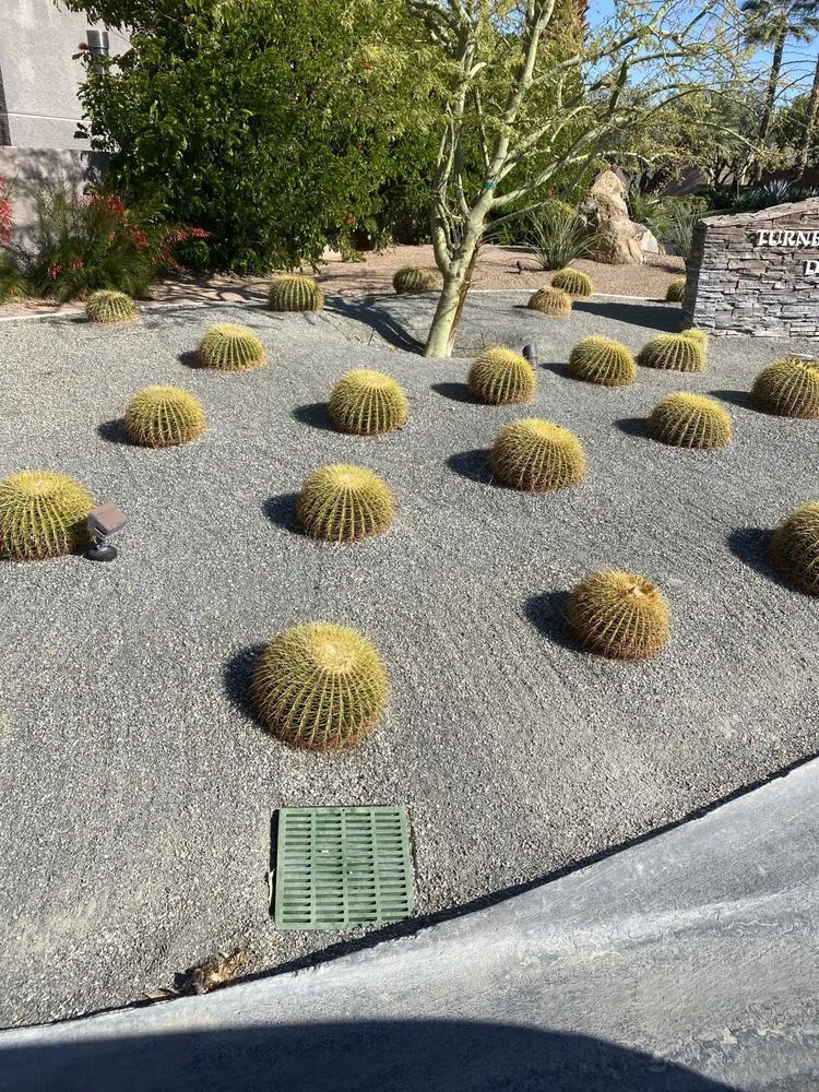 Expert garden landscaping experts serving Thousand Palms, CA - DD Landscaping