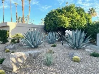 Professional outdoor landscaping in Thousand Palms, CA by DD Landscaping