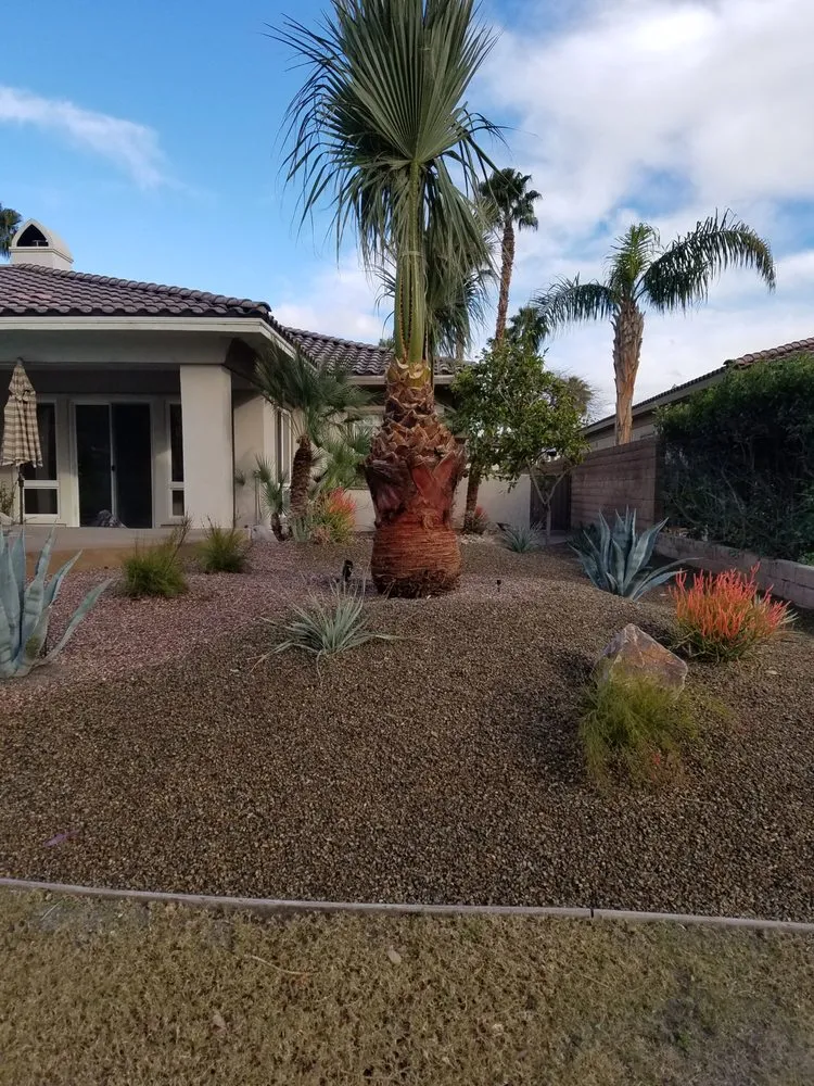 Local lawn care service in Thousand Palms, CA - DD Landscaping