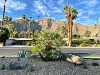 Trusted lawn mowing service in Thousand Palms, CA by DD Landscaping