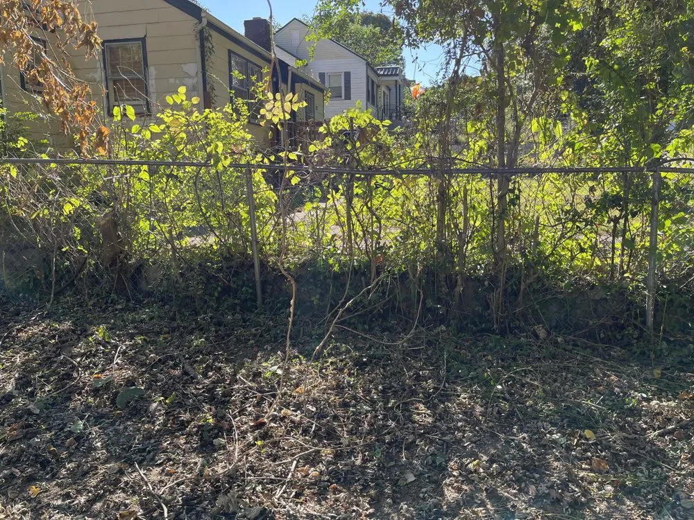 Reliable residential landscaping in LaFollette, TN - D&D Lawn Care & More