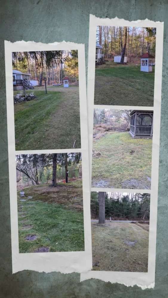 Custom yard cleanup service for residential properties in Barryville, NY by D&D Lawn Care