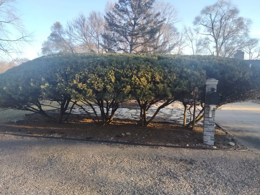 Local yard cleanup service for residential properties in Hammond, IN by D&D Lawn Care