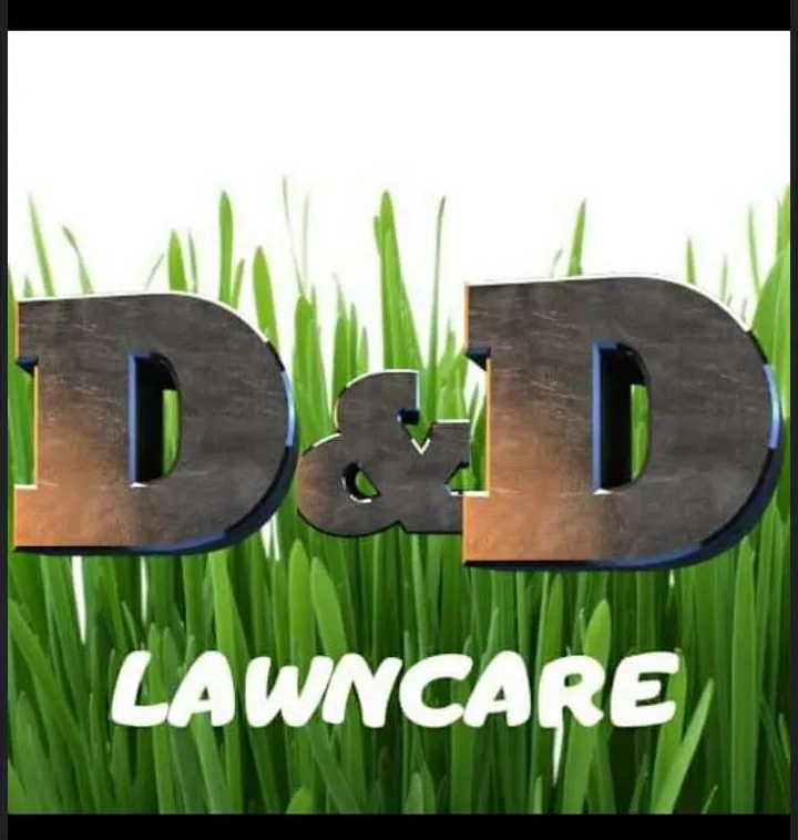 Affordable yard cleanup service experts serving Hammond, IN - D&D Lawn Care