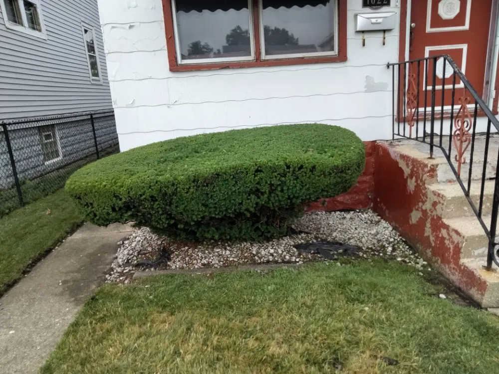 Reliable landscaping services in Hammond, IN - D&D Lawn Care