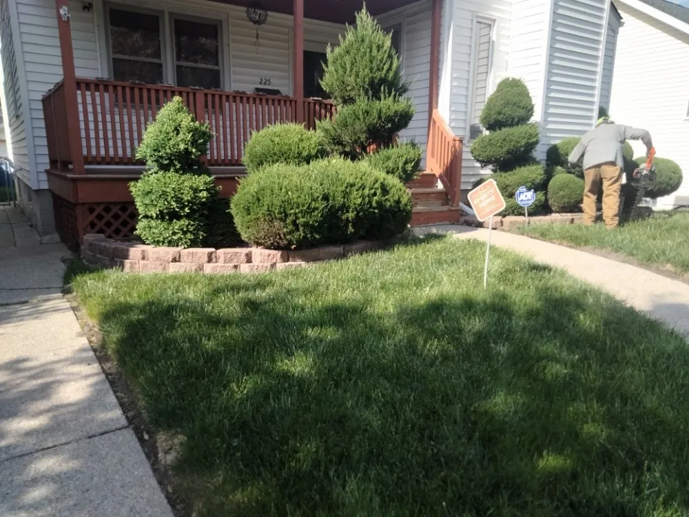 Affordable landscape design for year-round maintenance in Hammond, IN by D&D Lawn Care