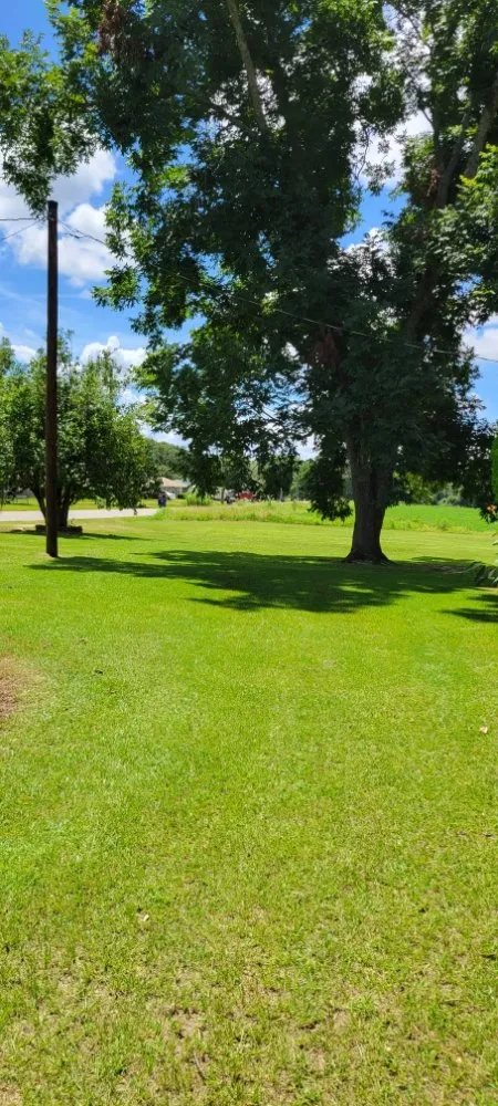 Custom lawn care service for homes in Headland, AL by D&D Lawn Care