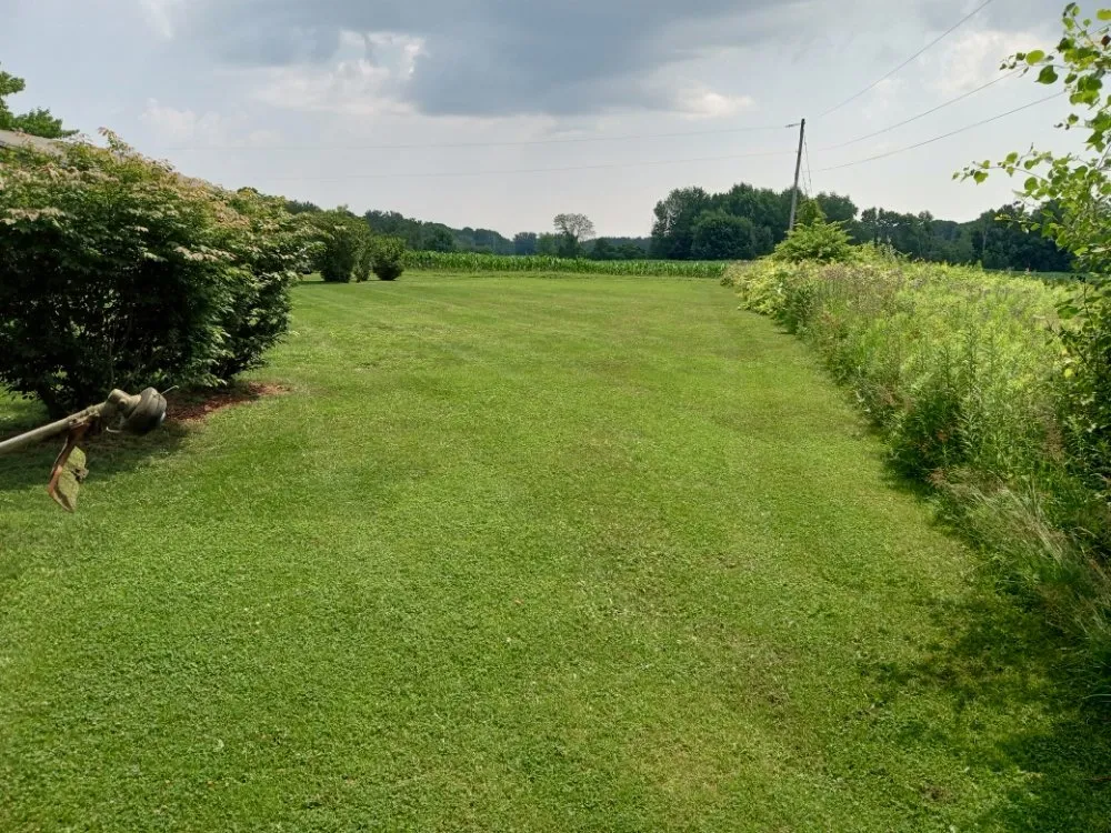 Professional landscape design for outdoor upgrades across Newaygo, MI - D&D Lawn Care