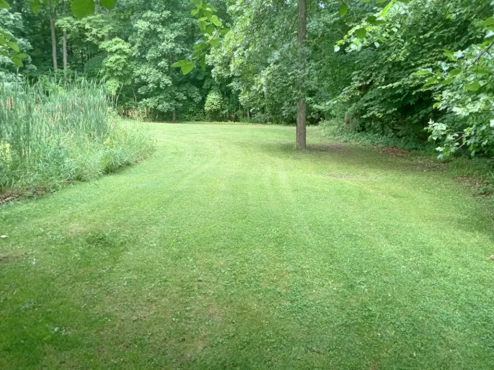 Expert yard maintenance in Newaygo, MI by D&D Lawn Care