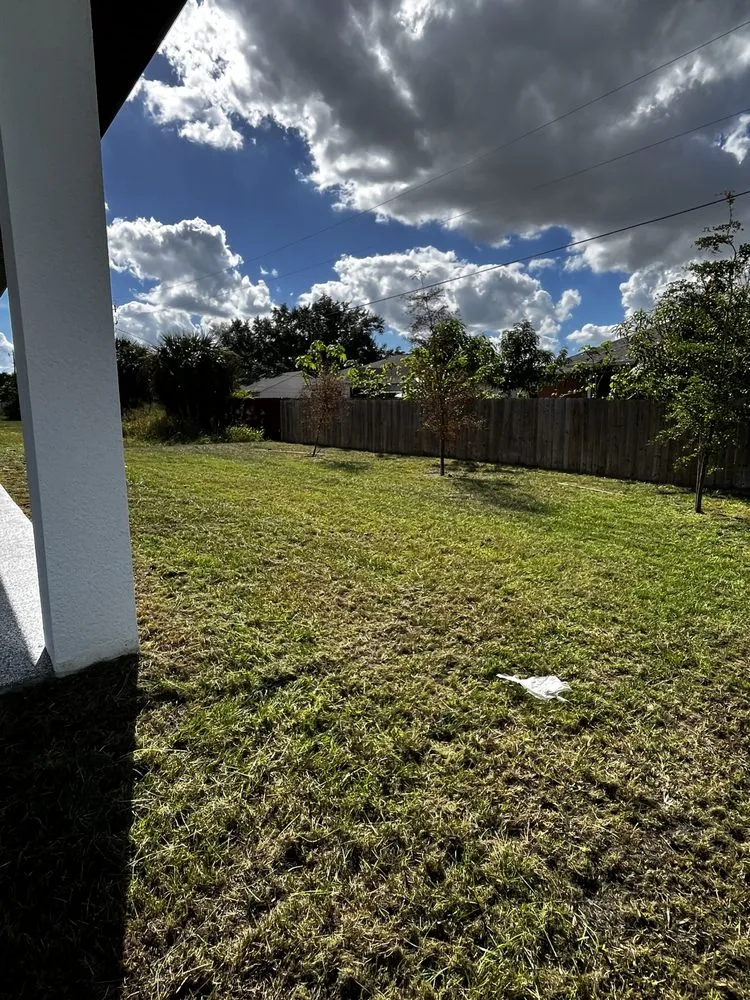 Expert yard cleanup service in Fort Myers, FL - D&D Lawn Service