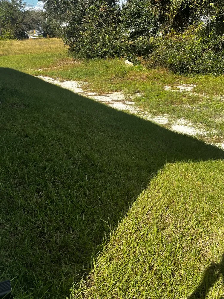 Trusted yard cleanup service in Fort Myers, FL by D&D Lawn Service