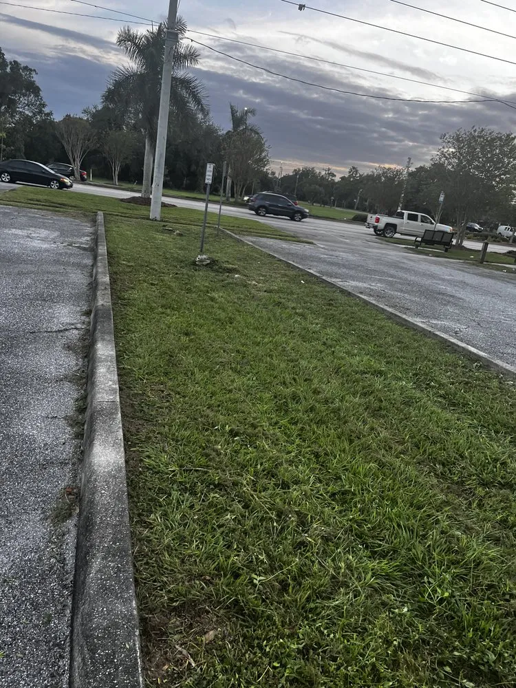 Custom residential landscaping experts serving Fort Myers, FL - D&D Lawn Service